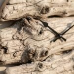 Driftwood Wall Clock - 2