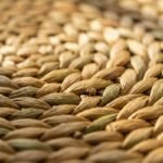 Seagrass Placemats Set - 2