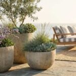Concrete Planter Set - 1